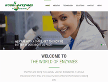 Tablet Screenshot of enzyme-india.com